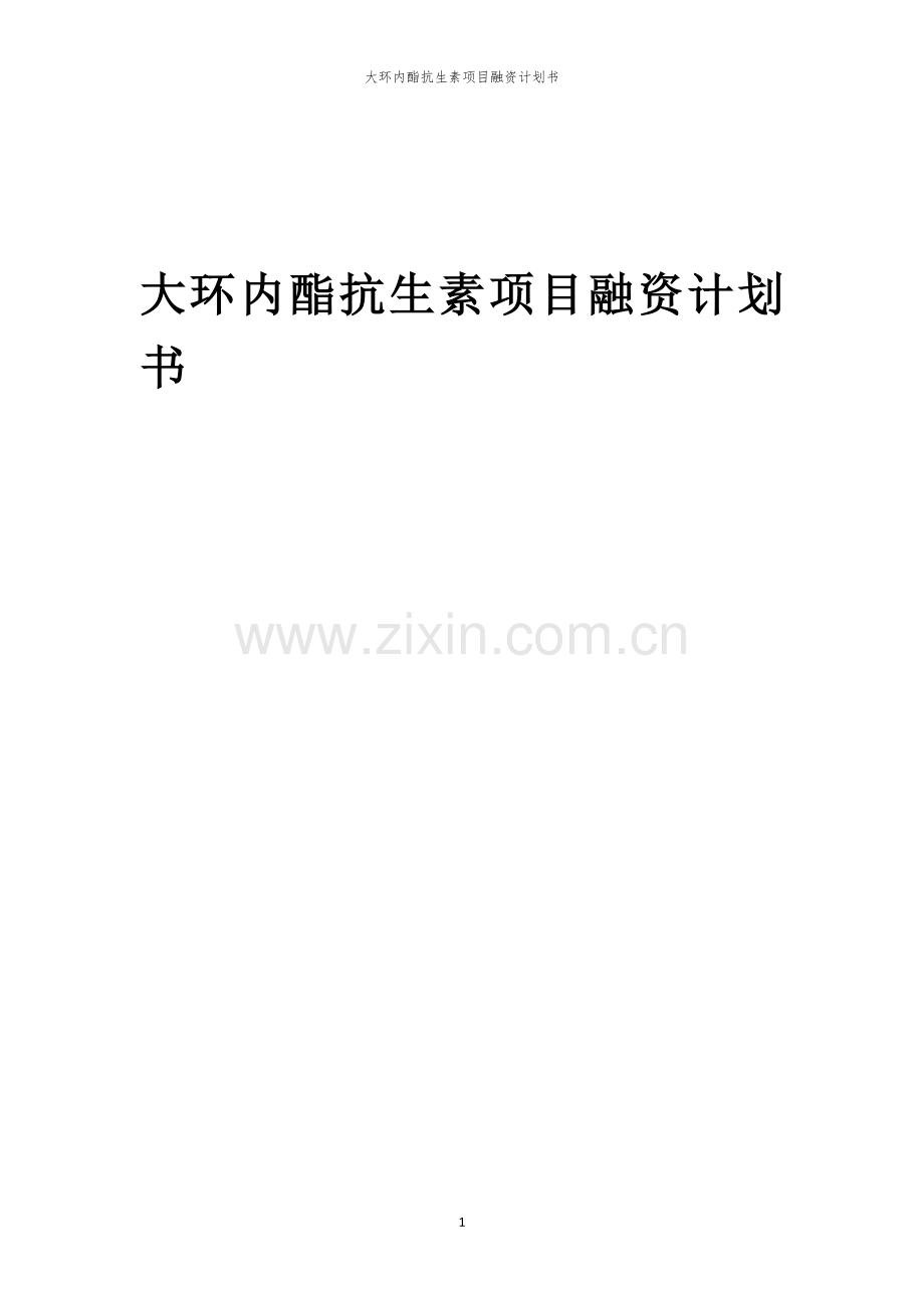 大环内酯抗生素项目融资计划书.docx_第1页