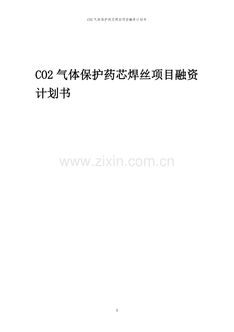 CO2气体保护药芯焊丝项目融资计划书.docx_第1页