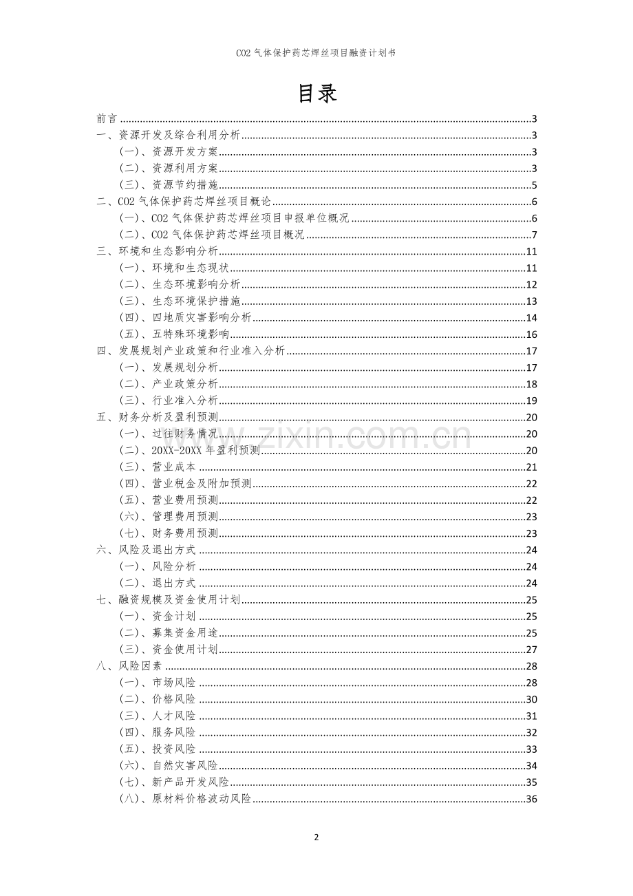 CO2气体保护药芯焊丝项目融资计划书.docx_第2页