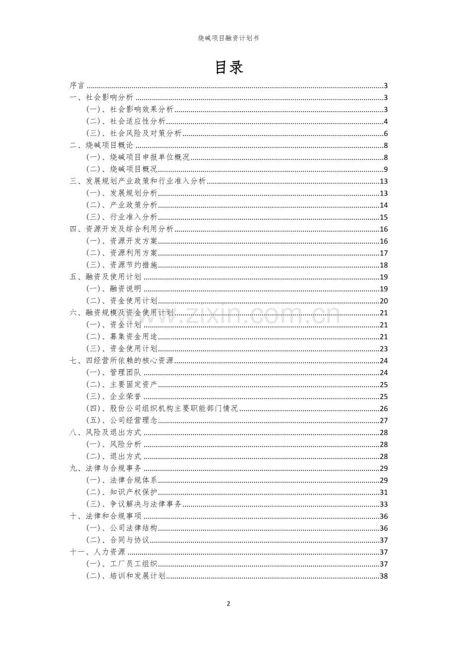 烧碱项目融资计划书.docx_第2页