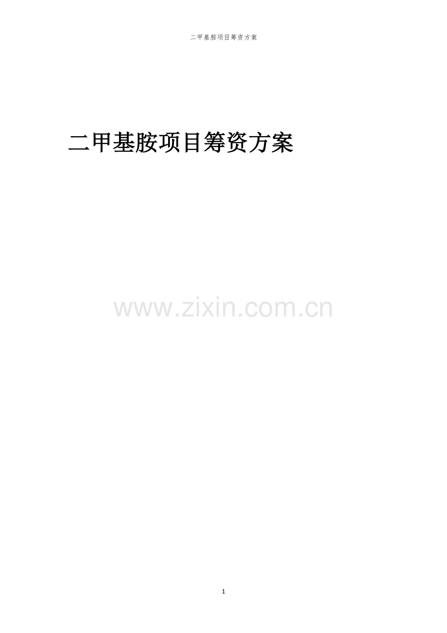 二甲基胺项目筹资方案.docx_第1页