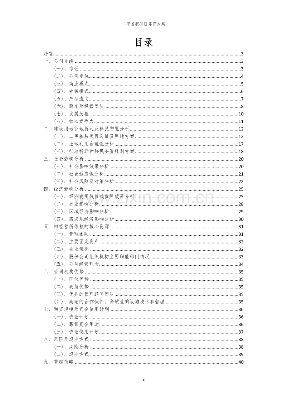 二甲基胺项目筹资方案.docx_第2页