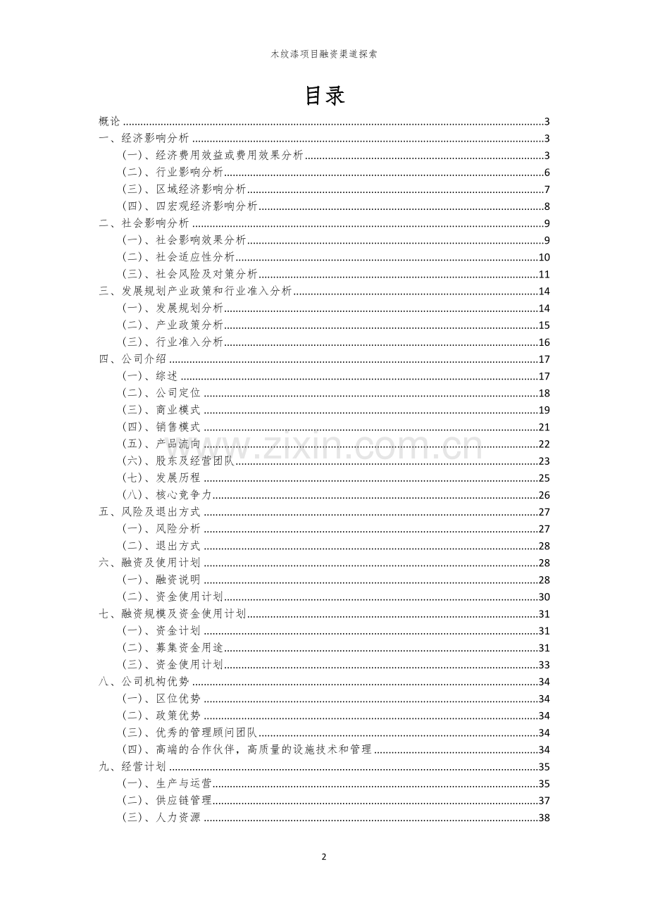 木纹漆项目融资渠道探索.docx_第2页