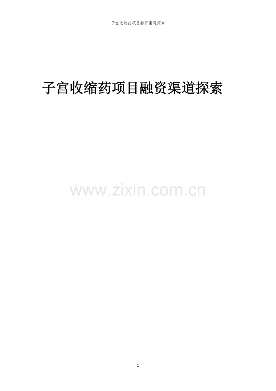 子宫收缩药项目融资渠道探索.docx_第1页