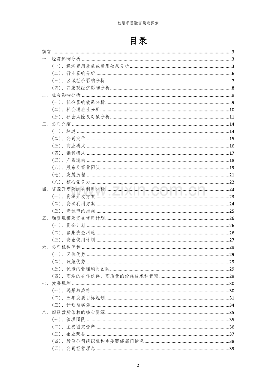 鞋蜡项目融资渠道探索.docx_第2页