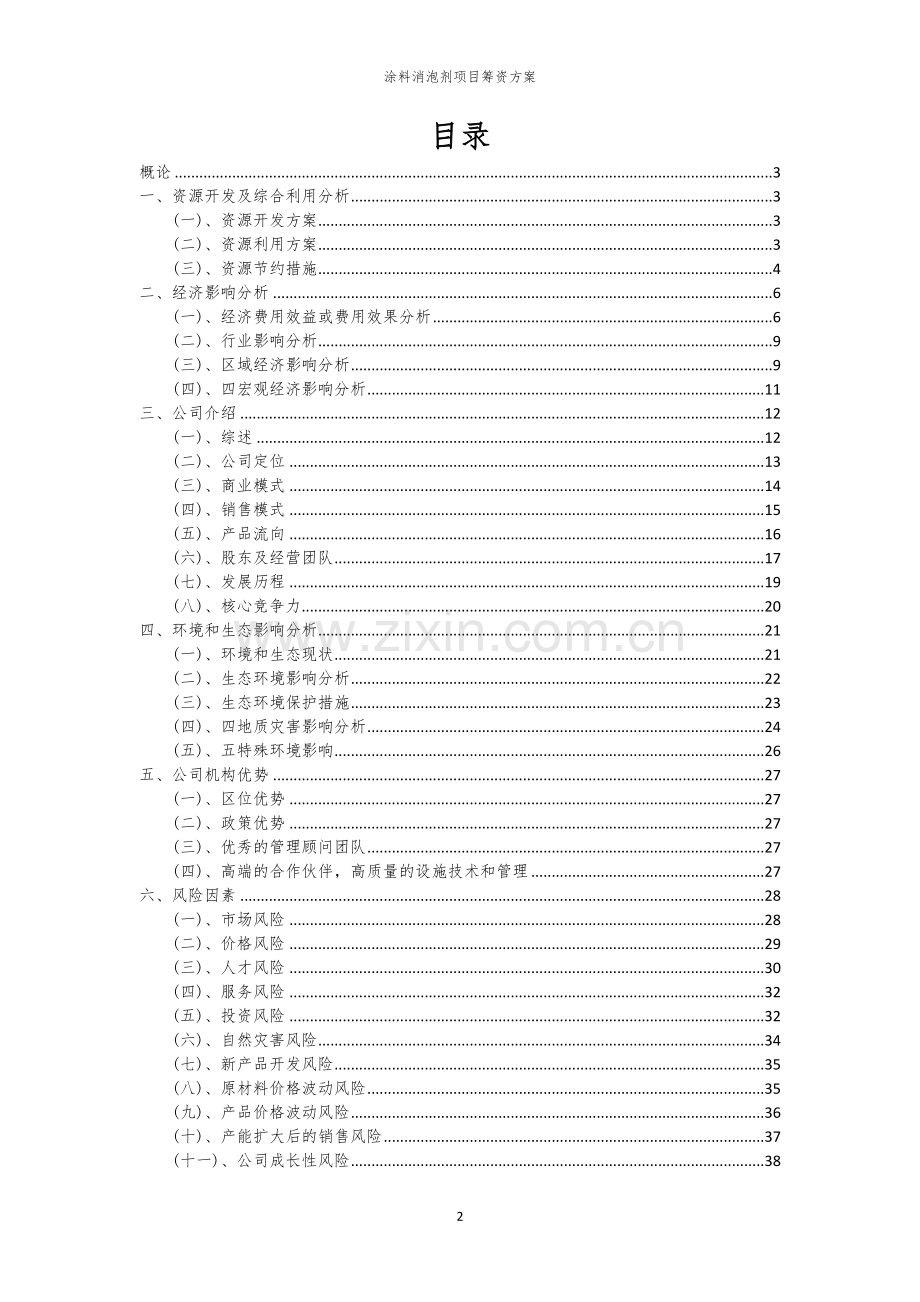 涂料消泡剂项目筹资方案.docx_第2页