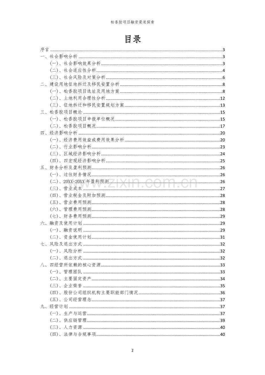 松香胶项目融资渠道探索.docx_第2页