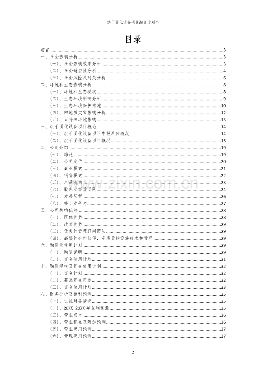烘干固化设备项目融资计划书.docx_第2页