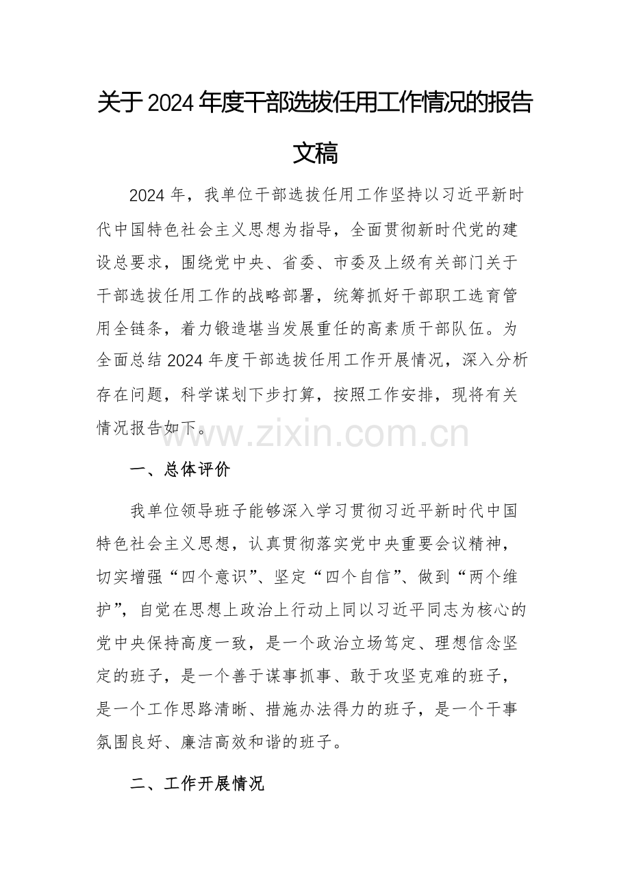 关于2024年度干部选拔任用工作情况的报告文稿.docx_第1页