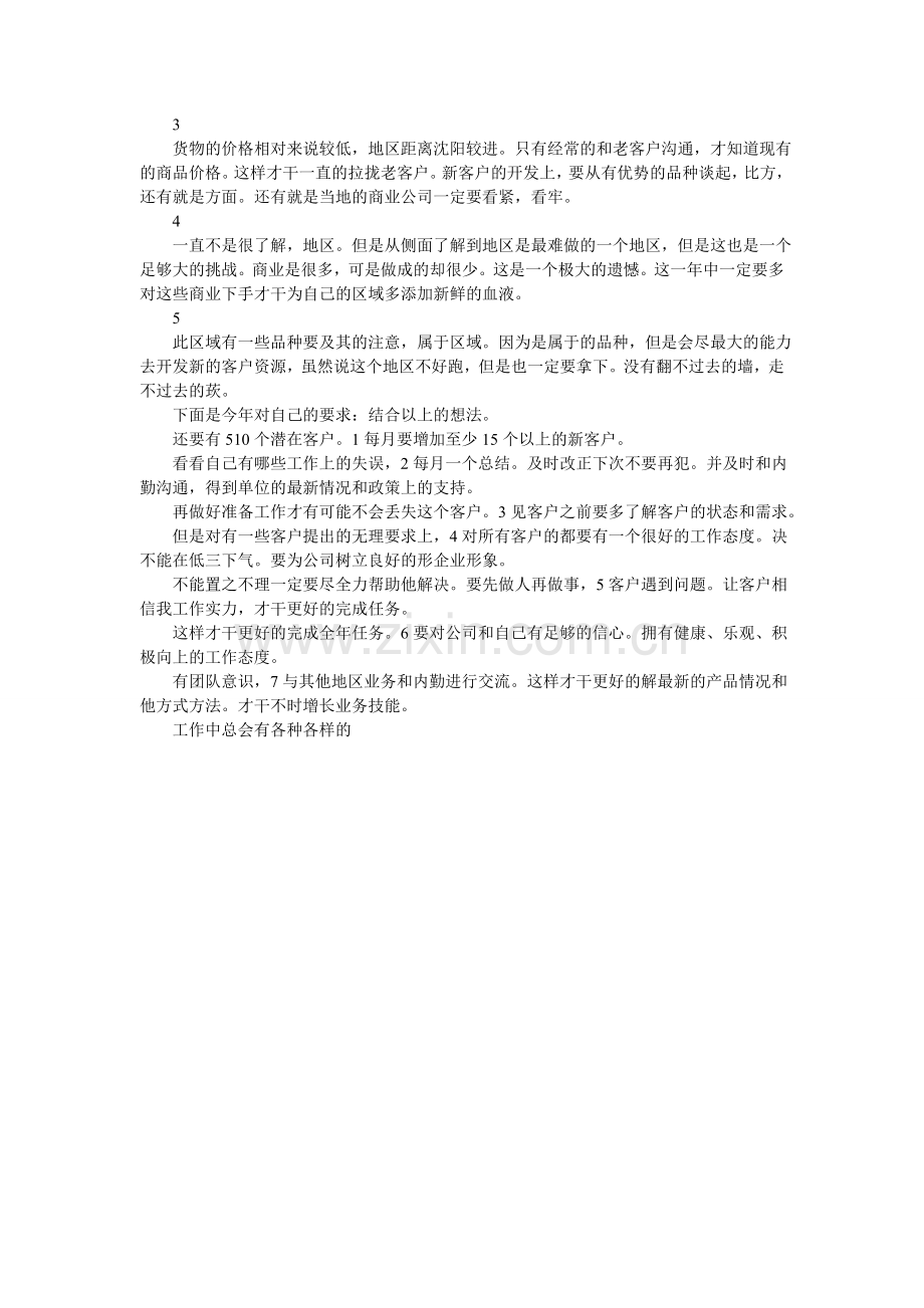 医药销售工作打算.doc_第2页