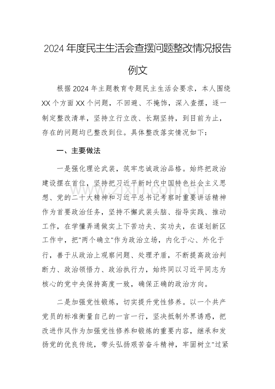 2024年度民主生活会查摆问题整改情况报告例文.docx_第1页