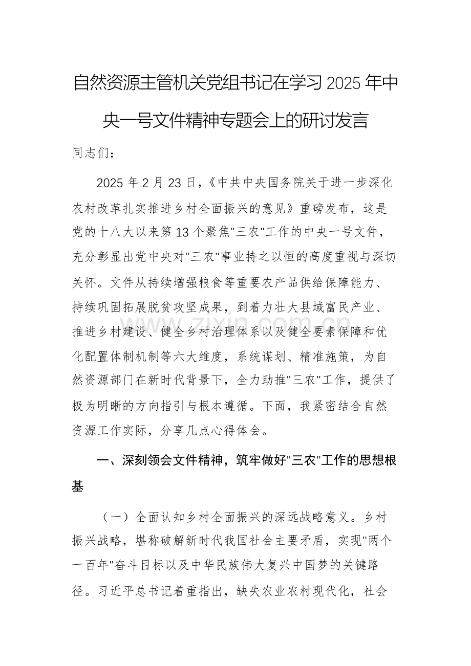 自然资源主管机关党组书记在学习2025年中央一号文件精神专题会上的研讨发言.docx_第1页