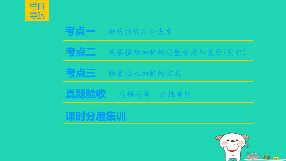 2019-2020年全国版高考生物一轮复习第2单元细胞的基本结构与物质的输入和输出第3讲细胞的物质输入与输出讲.ppt_第2页