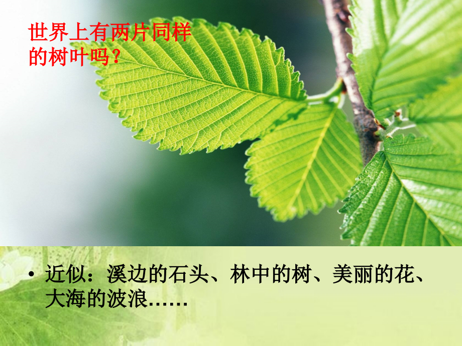 【课件】平面构成近似构成.ppt_第2页