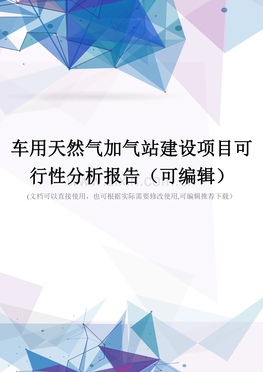 车用天然气加气站建设项目可行性分析报告.docx_第1页
