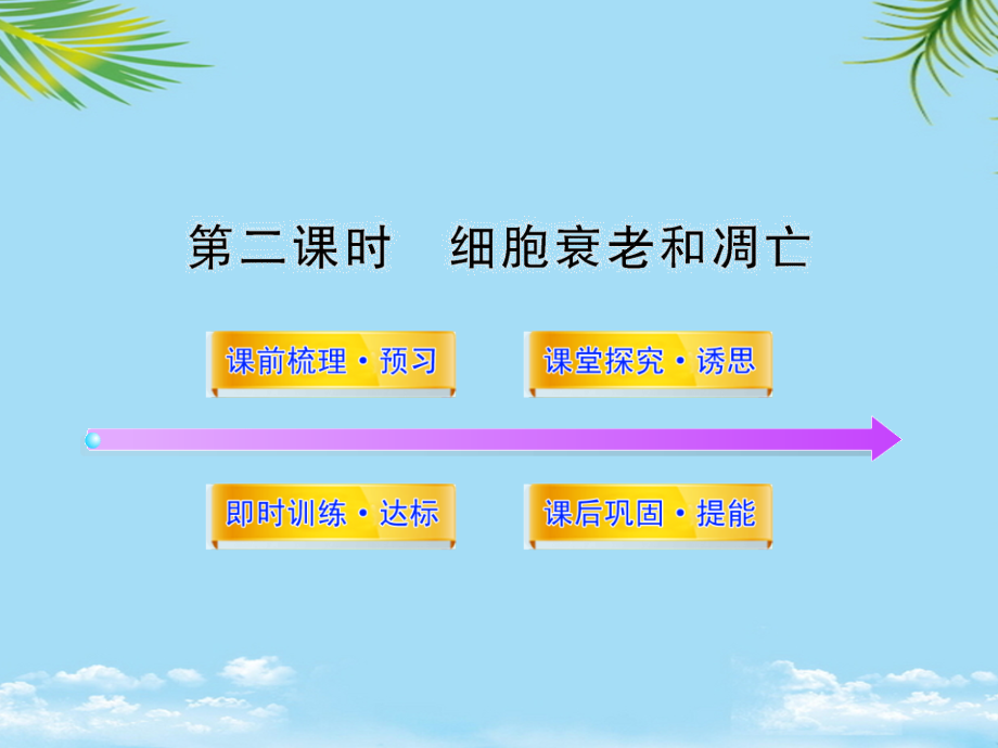 生物必修ⅰ苏教版细胞衰老和凋亡课件.ppt_第2页