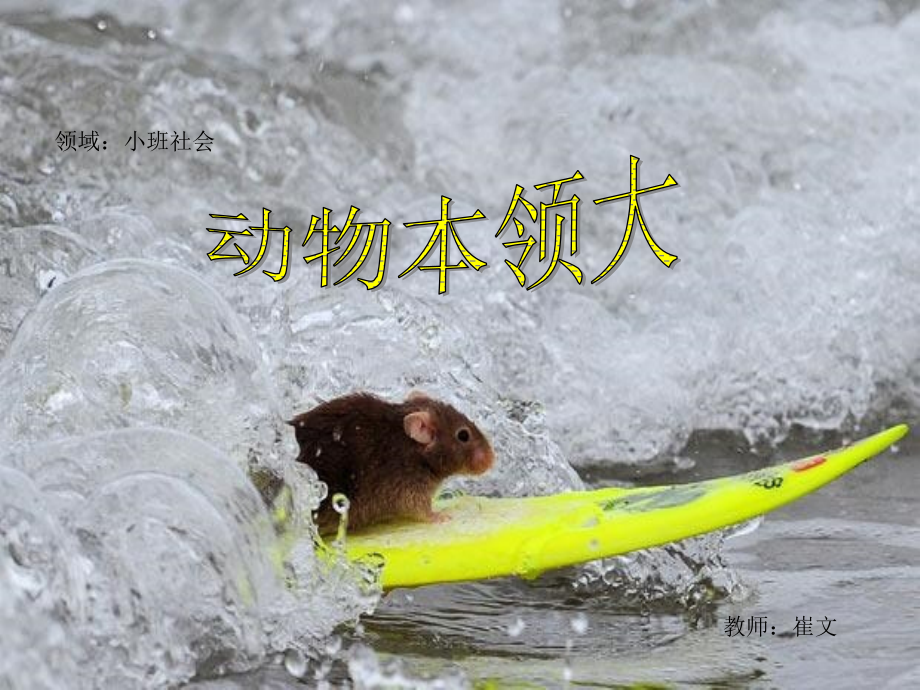 2019-2020学年三年级科学上册第三章第1课小动物本领大教案新人教版.ppt_第1页