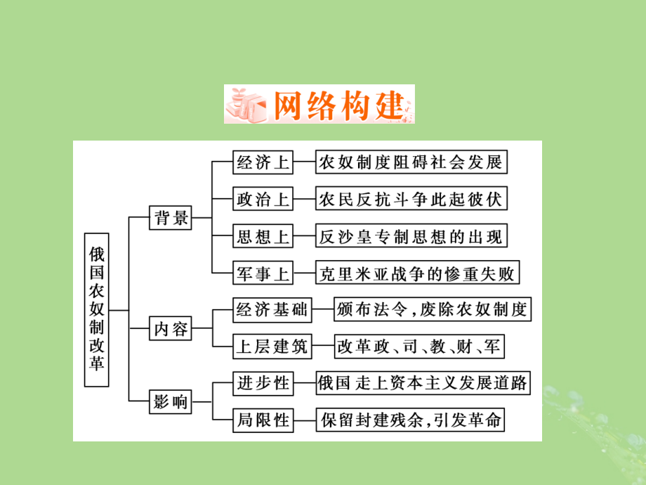 高中历史第七章俄国农奴制度改革章末回顾总结课件北师大版选修.ppt_第2页