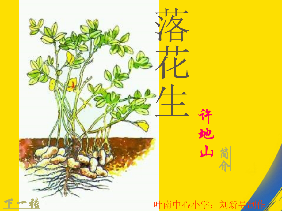 长春版六年级上册落花生.ppt_第1页