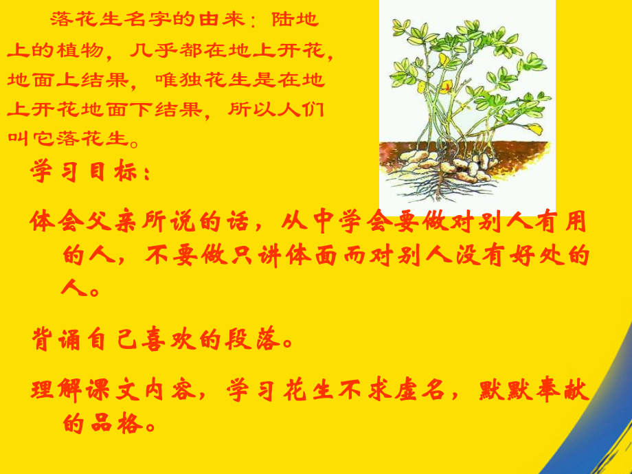 长春版六年级上册落花生.ppt_第2页