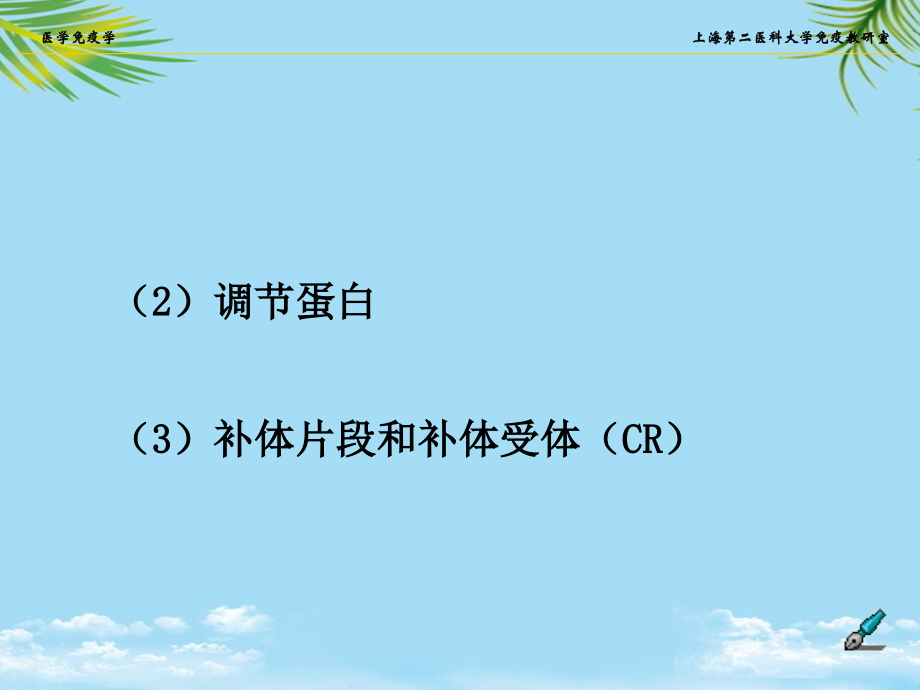 补体医学免疫学.ppt_第2页