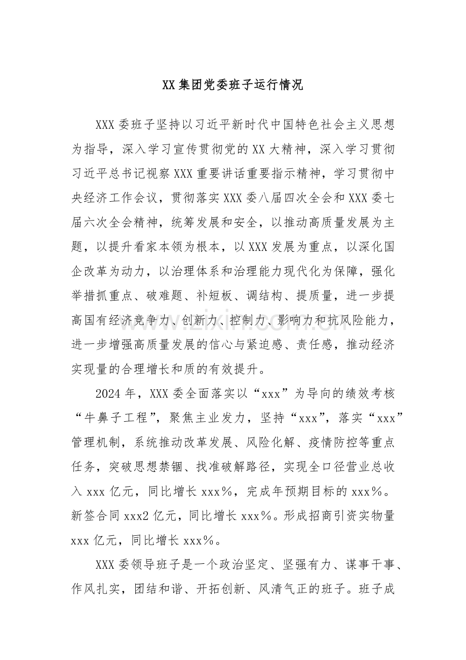 XX集团党委班子运行情况.docx_第1页