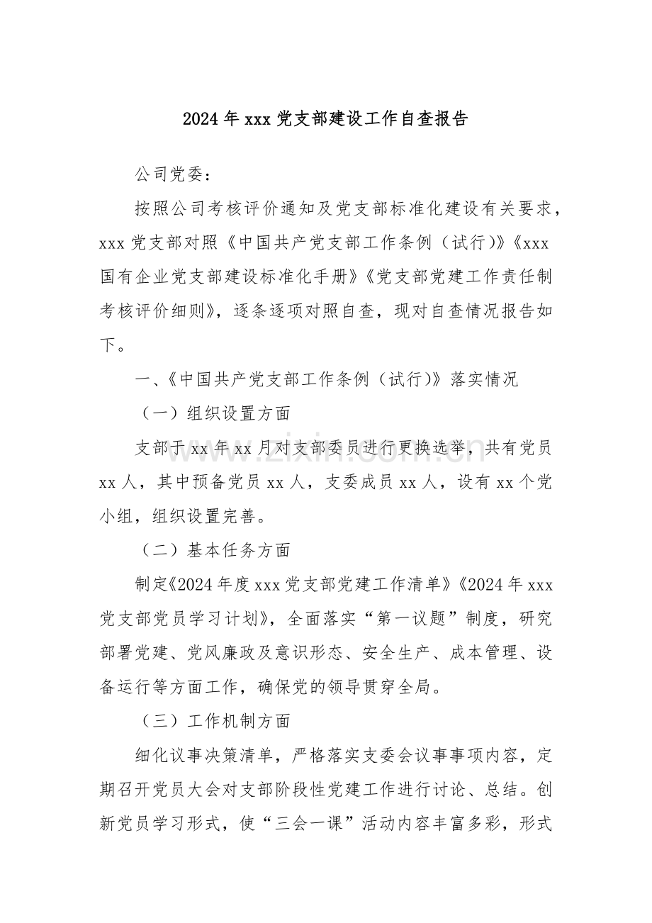 2024年xxx党支部建设工作自查报告.docx_第1页
