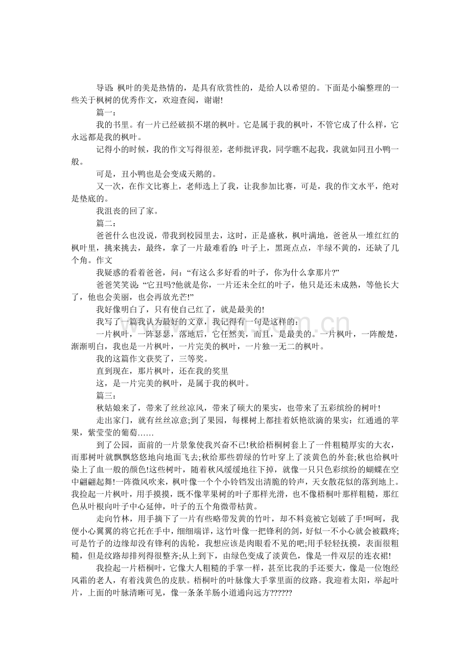 枫叶红了的作文.doc_第1页