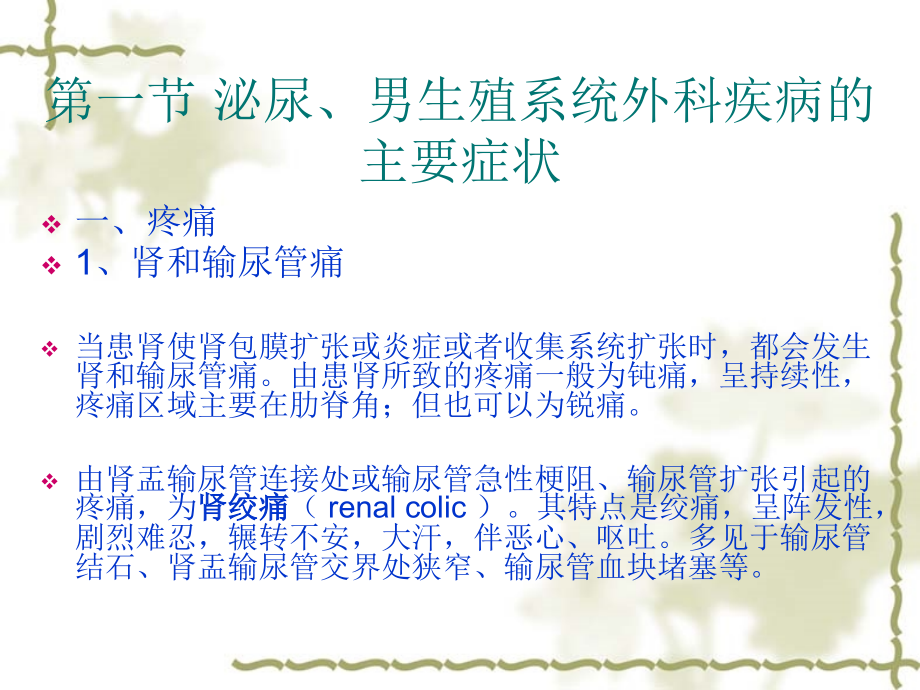 泌尿、男生殖系统.ppt_第2页