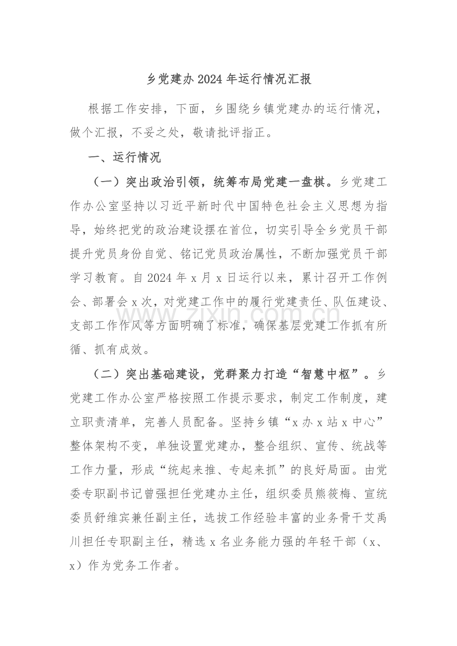 乡党建办2024年运行情况汇报.docx_第1页