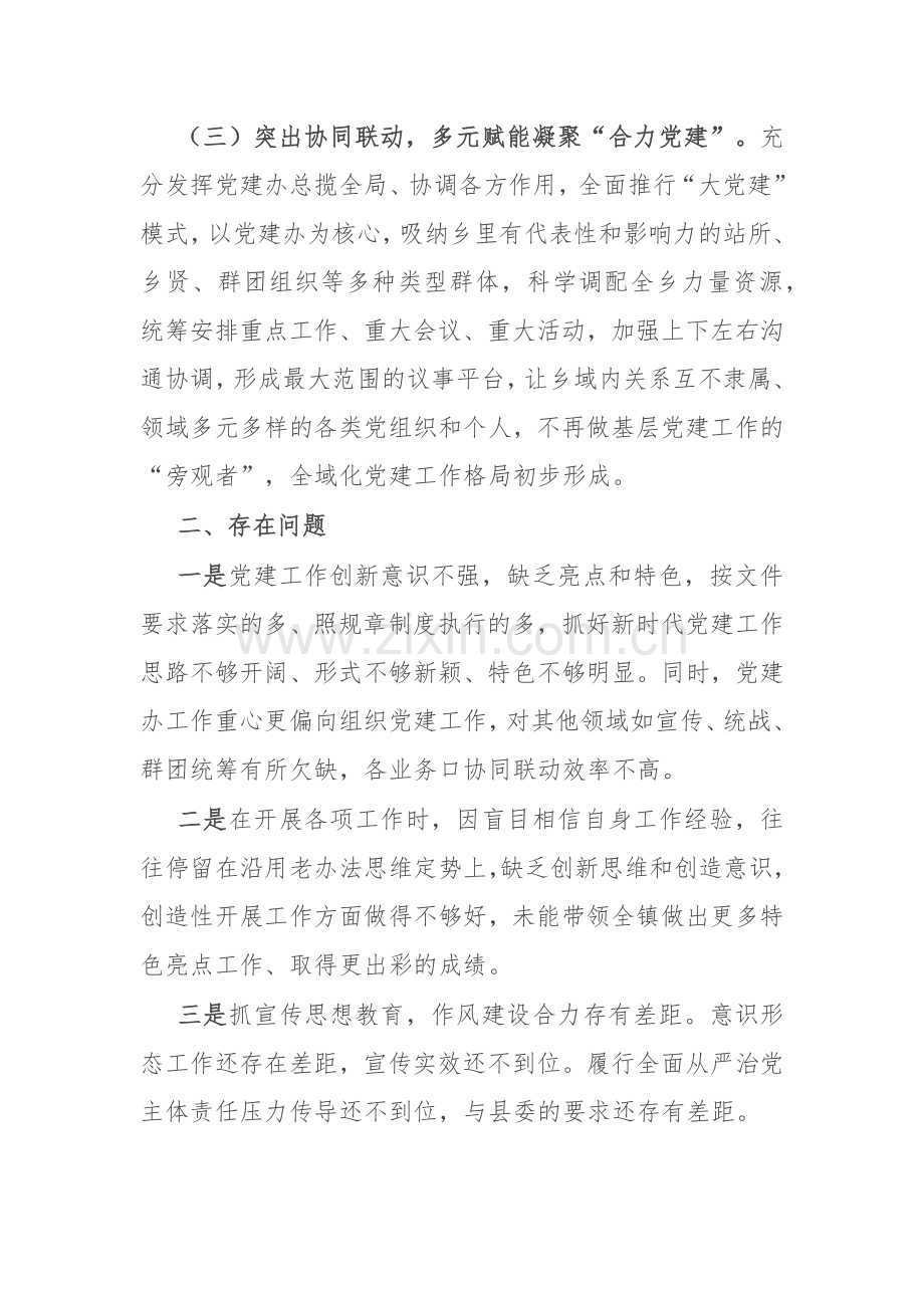 乡党建办2024年运行情况汇报.docx_第2页