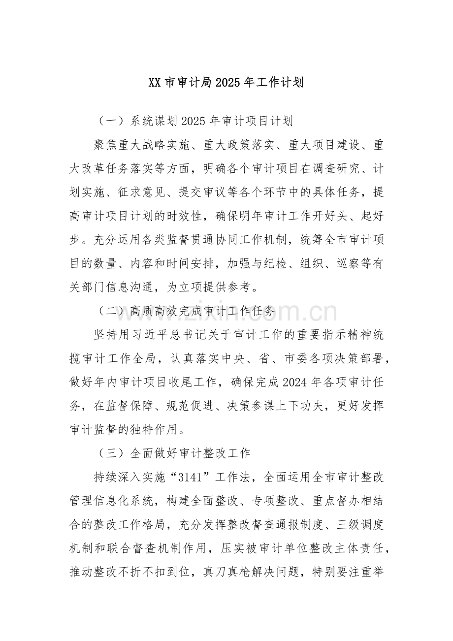 XX市审计局2025年工作计划.docx_第1页