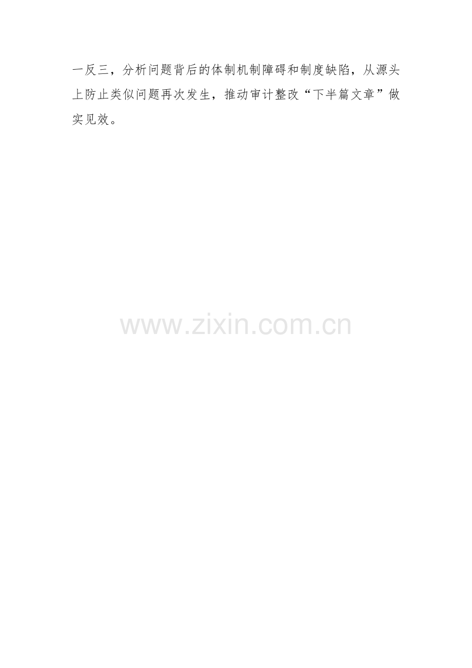 XX市审计局2025年工作计划.docx_第2页