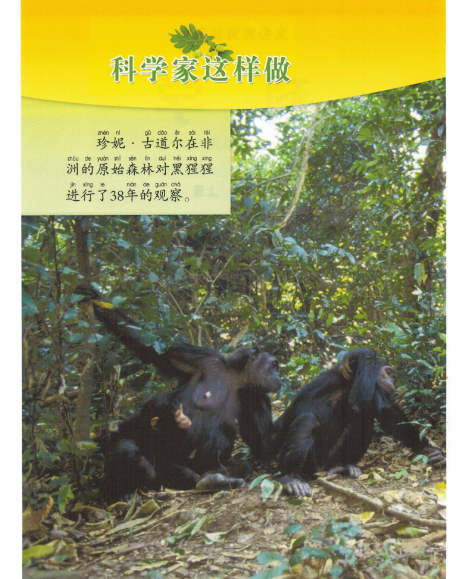 小学科学一年级教科版.docx_第2页