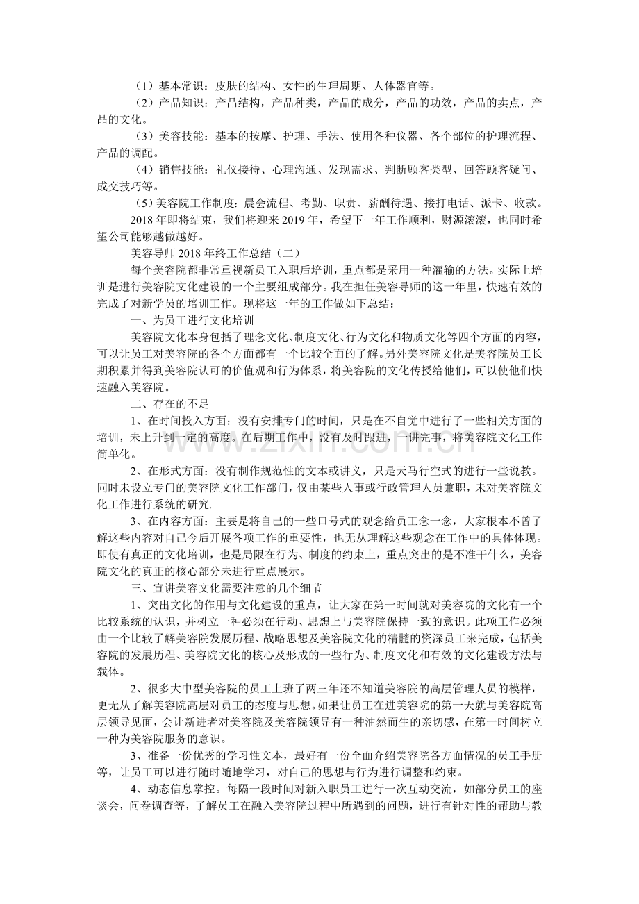 美容导师2018年终工作总结.doc_第2页