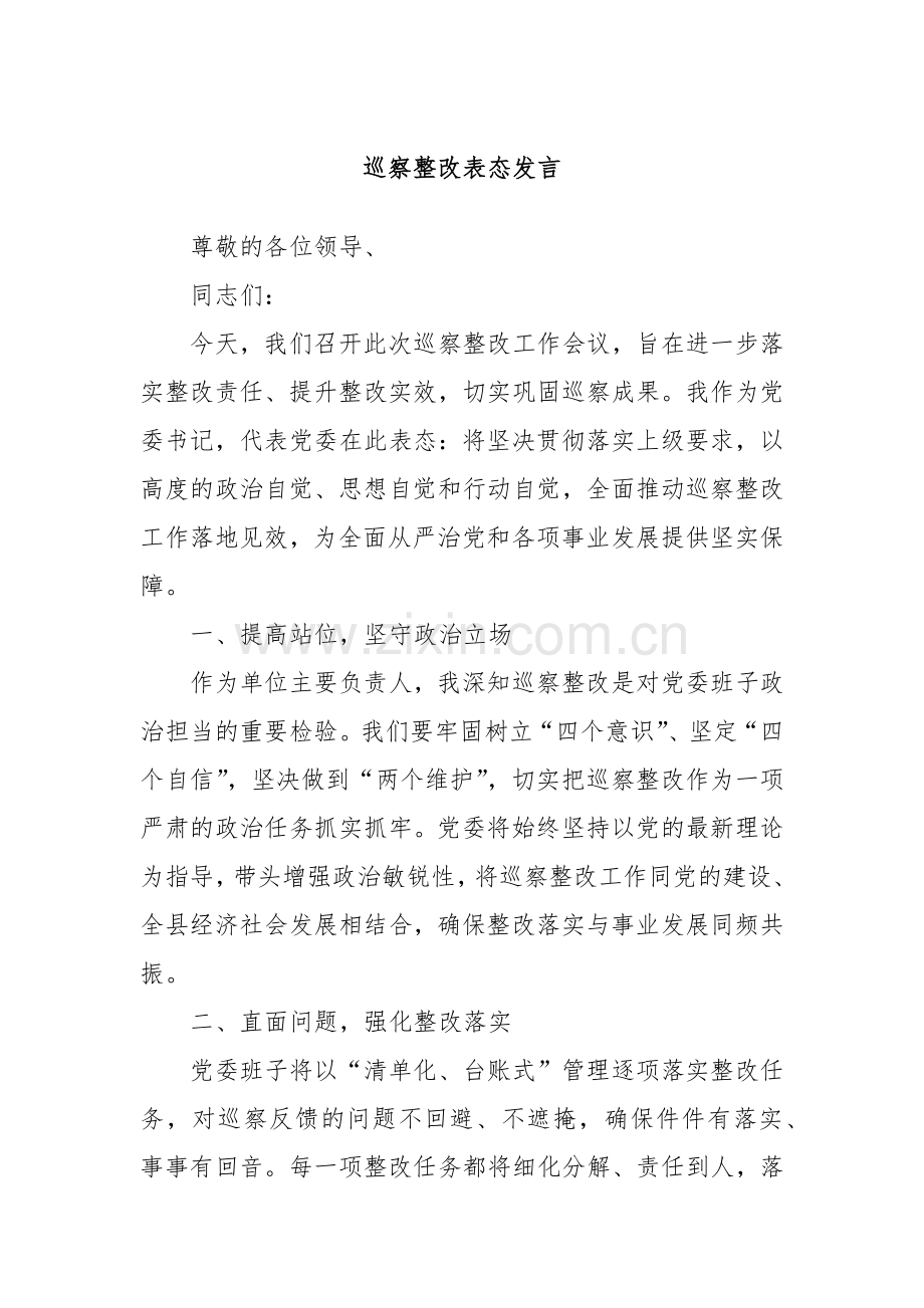 巡察整改表态发言.docx_第1页