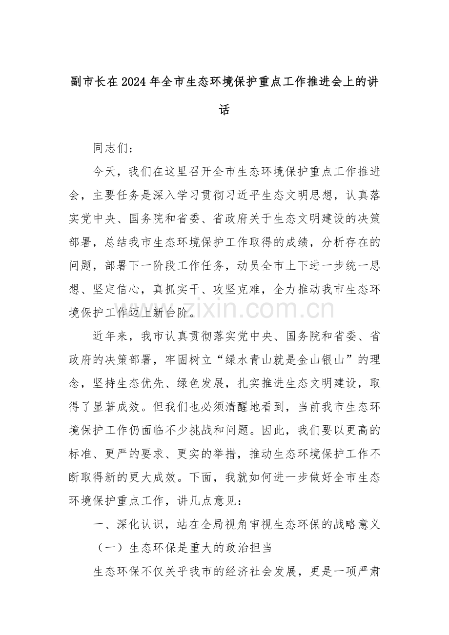 副市长在2024年全市生态环境保护重点工作推进会上的讲话.docx_第1页