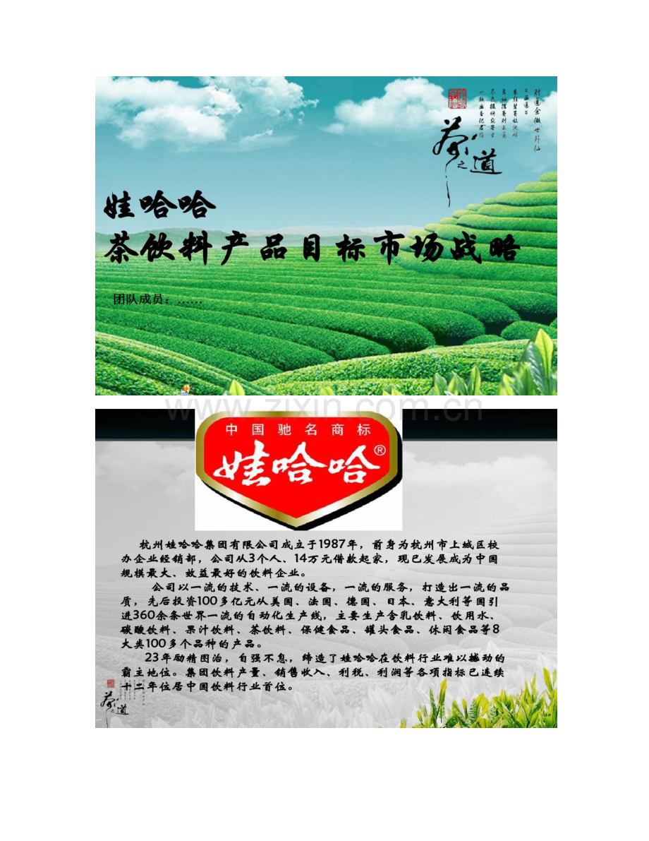 娃哈哈目标市场定位分析概要.doc_第1页