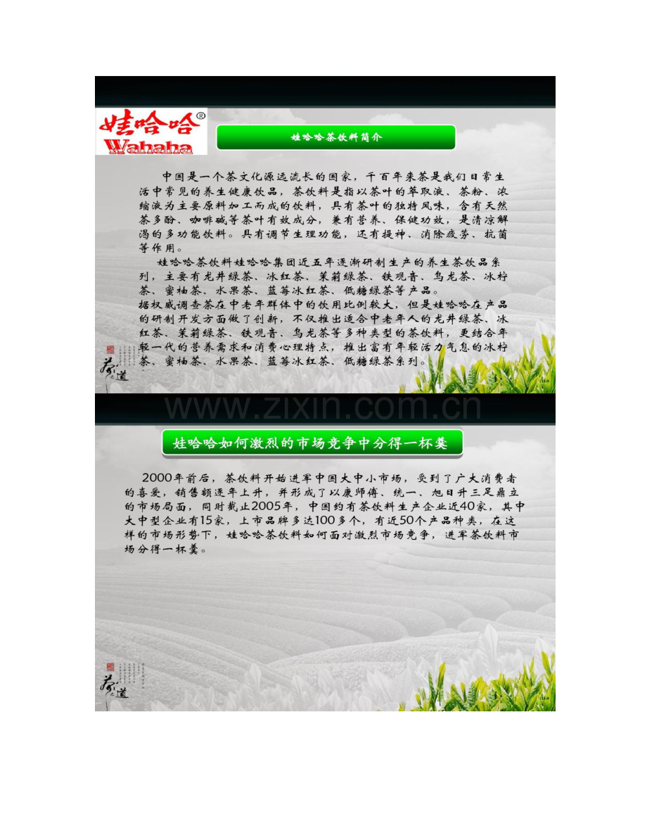 娃哈哈目标市场定位分析概要.doc_第2页