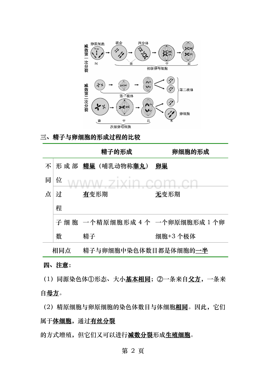 高一生物必修2第二章知识点总结.doc_第2页