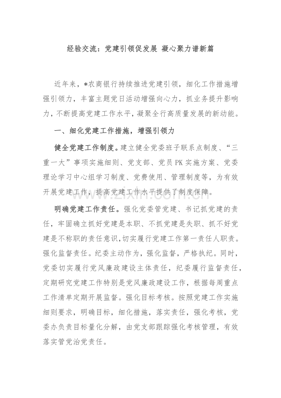 经验交流：党建引领促发展 凝心聚力谱新篇.docx_第1页