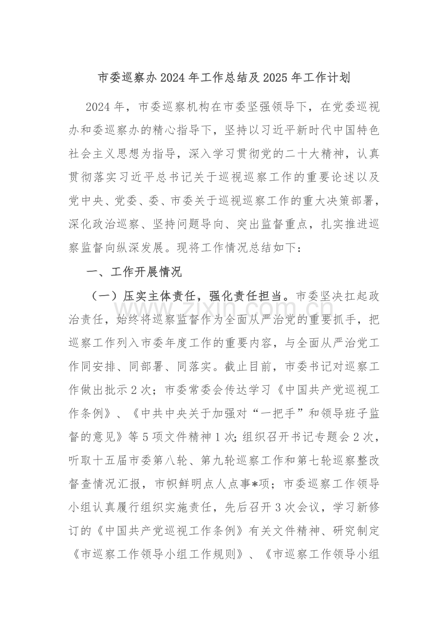 市委巡察办2024年工作总结及2025年工作计划.docx_第1页