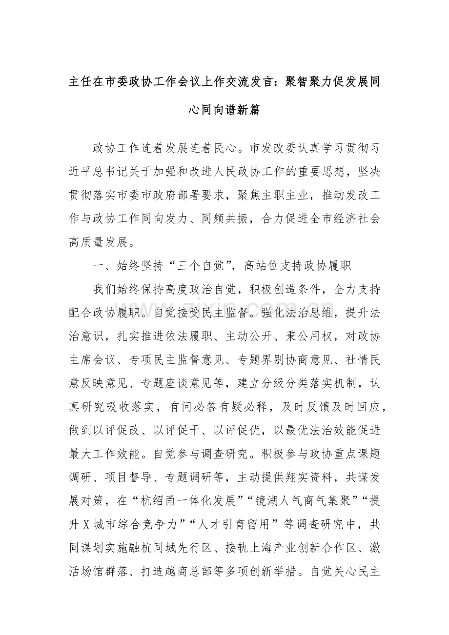 主任在市委政协工作会议上作交流发言：聚智聚力促发展同心同向谱新篇.docx_第1页