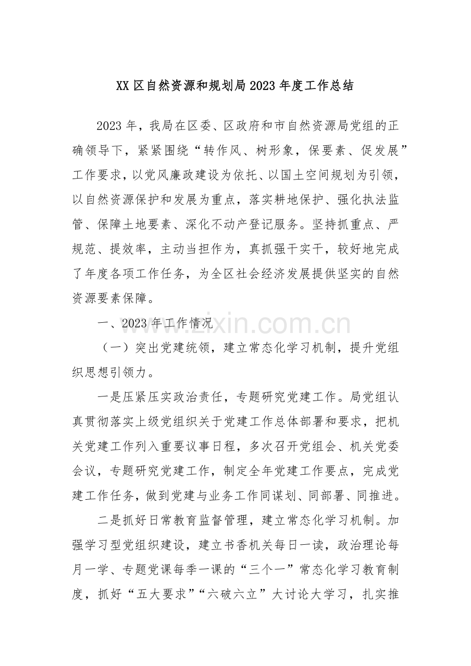 XX区自然资源和规划局2023年度工作总结.docx_第1页