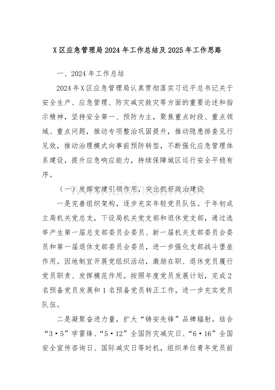 X区应急管理局2024年工作总结及2025年工作思路.docx_第1页