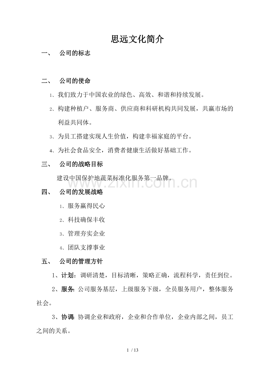 思远文化简介.doc_第1页