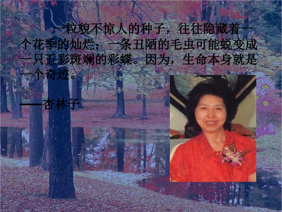 四年级下册语文课件-19生命生命-人教新课标版.ppt_第2页