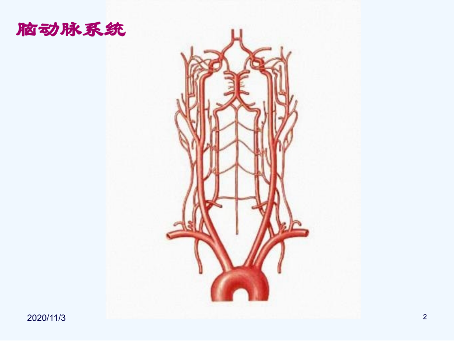 脑血管病变定位诊断.ppt_第2页