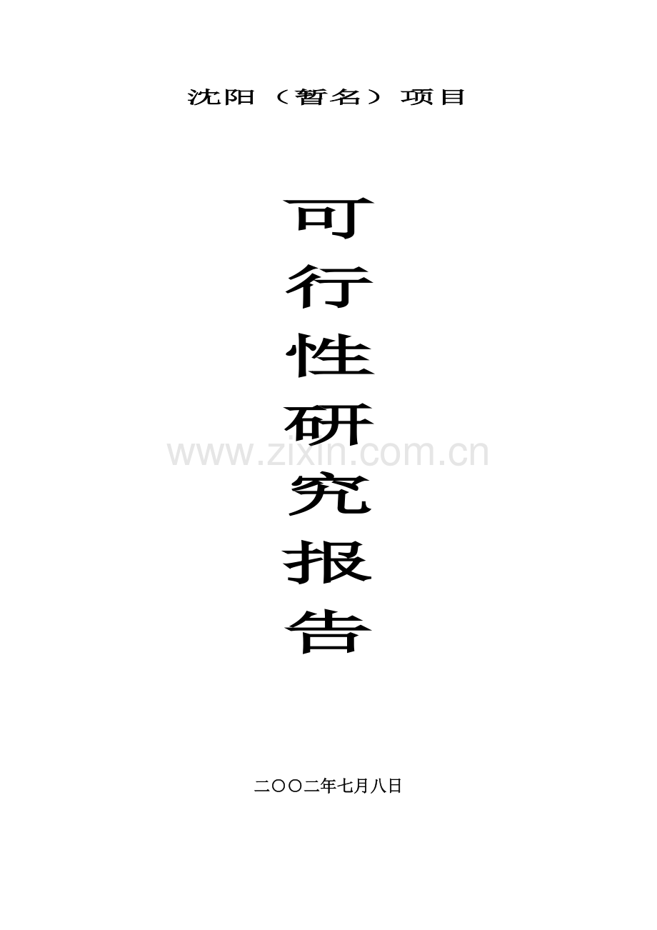 沈阳市房地产专项项目可行性专题研究报告.doc_第1页