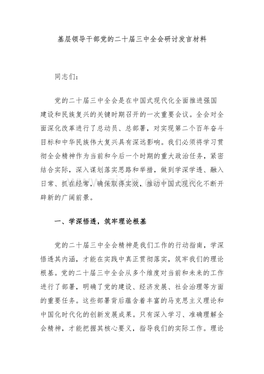 基层领导干部党的二十届三中全会研讨发言材料.docx_第1页